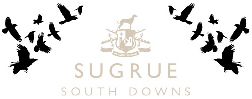 Sugrue South Downs