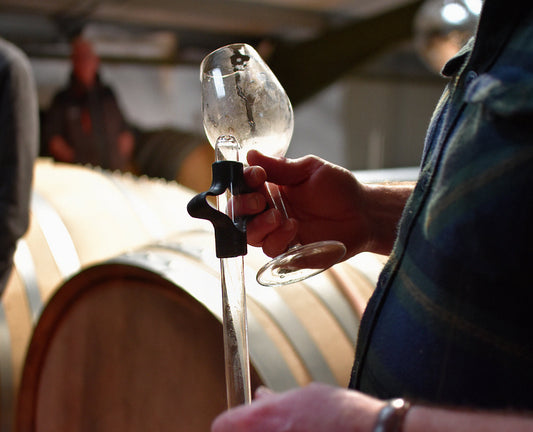 WYN: Where Wine Meets Art